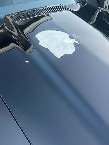Chevrolet-Corvette-1976-Black-Black-8