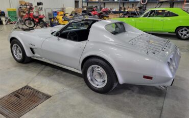 Chevrolet-Corvette-1976-Silver-Black-11