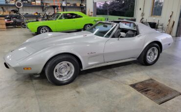 Chevrolet-Corvette-1976-Silver-Black-12
