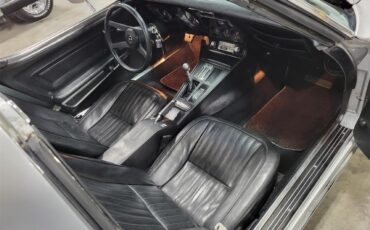 Chevrolet-Corvette-1976-Silver-Black-14