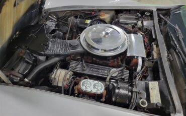 Chevrolet-Corvette-1976-Silver-Black-17