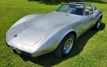 Chevrolet-Corvette-1976-Silver-Black-18