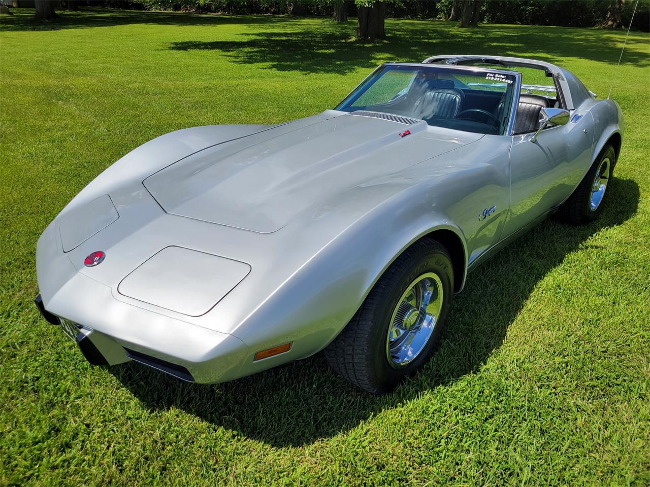 Chevrolet-Corvette-1976-Silver-Black-18