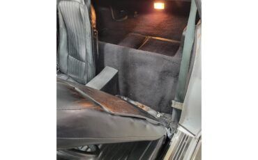 Chevrolet-Corvette-1976-Silver-Black-2
