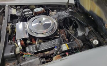 Chevrolet-Corvette-1976-Silver-Black-20