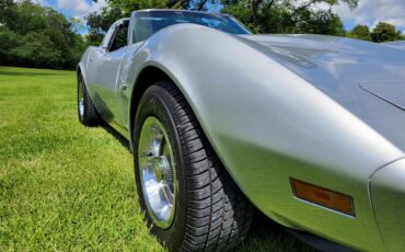 Chevrolet-Corvette-1976-Silver-Black-5