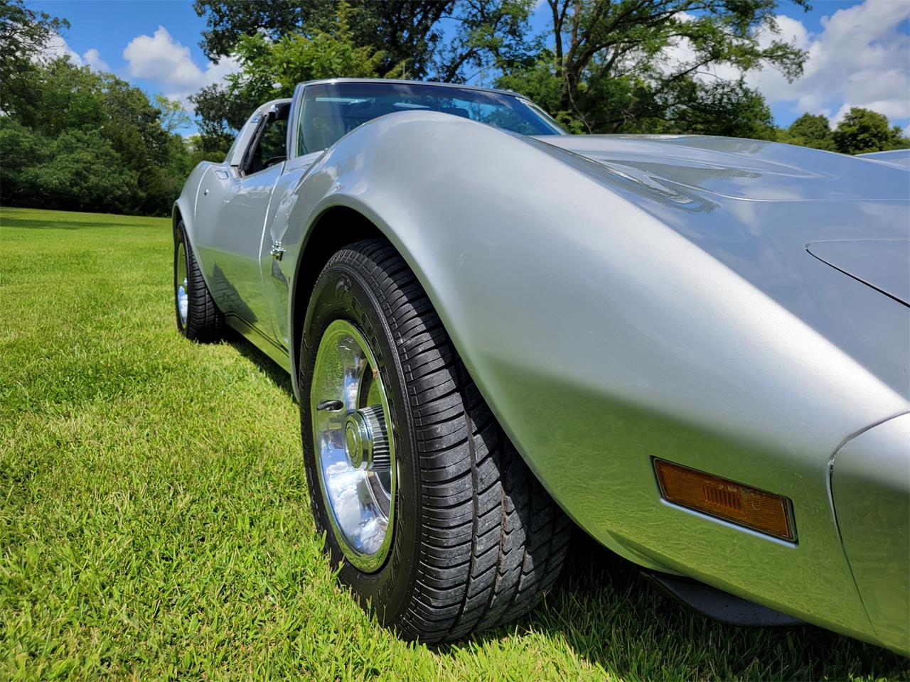 Chevrolet-Corvette-1976-Silver-Black-5