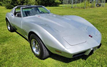 Chevrolet-Corvette-1976-Silver-Black-6