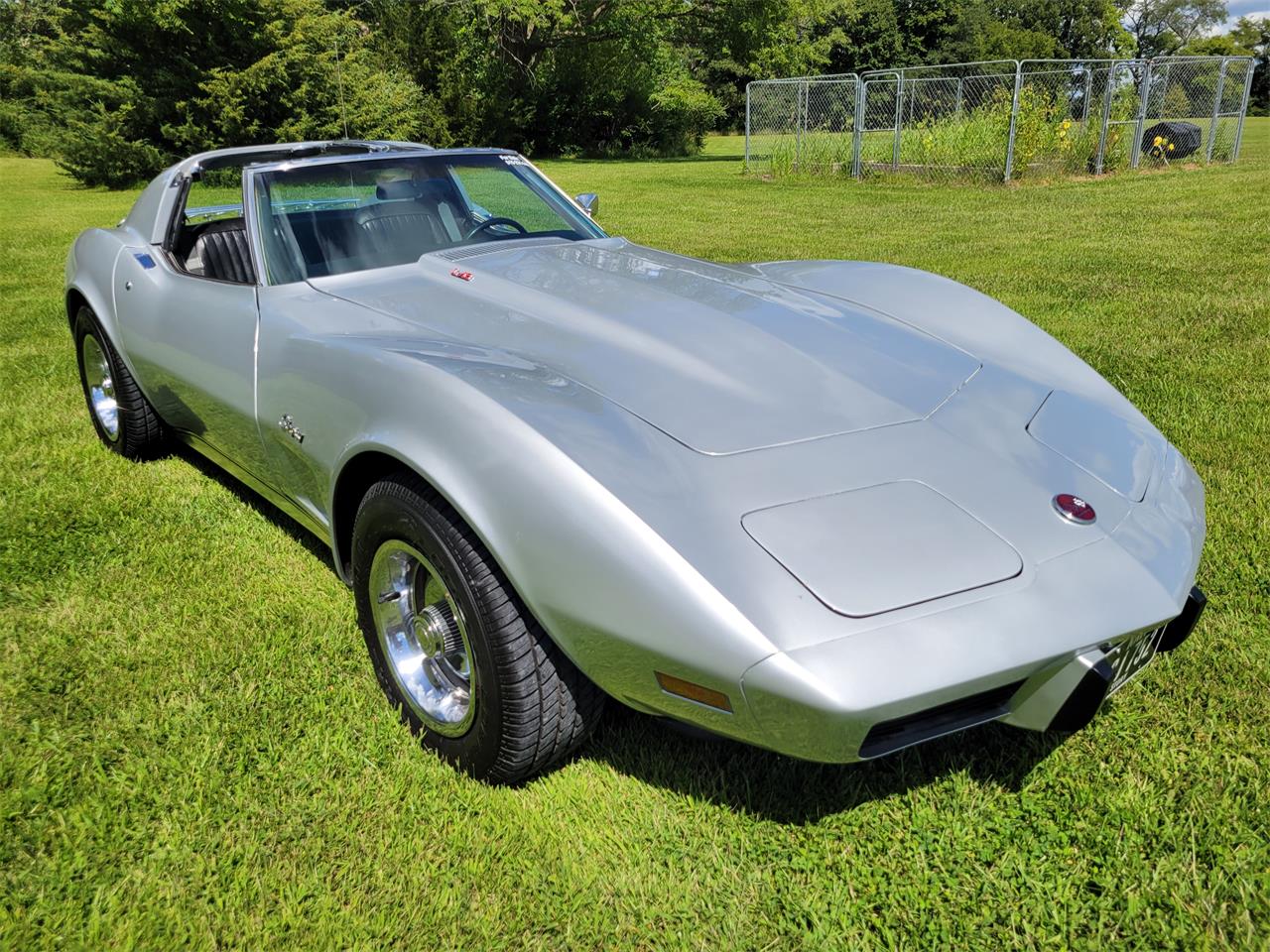 Chevrolet-Corvette-1976-Silver-Black-6