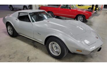 Chevrolet-Corvette-1976-Silver-Black-7