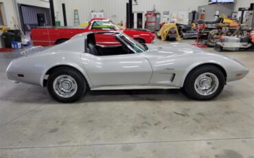 Chevrolet-Corvette-1976-Silver-Black-8