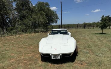 Chevrolet-Corvette-1977-2