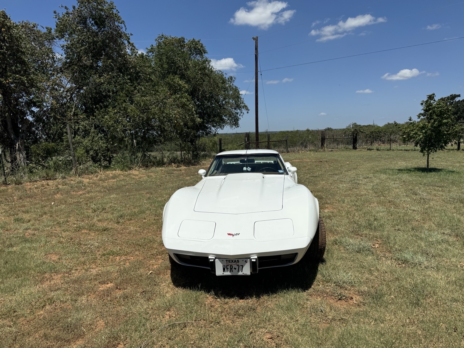 Chevrolet-Corvette-1977-2