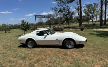 Chevrolet-Corvette-1977-3