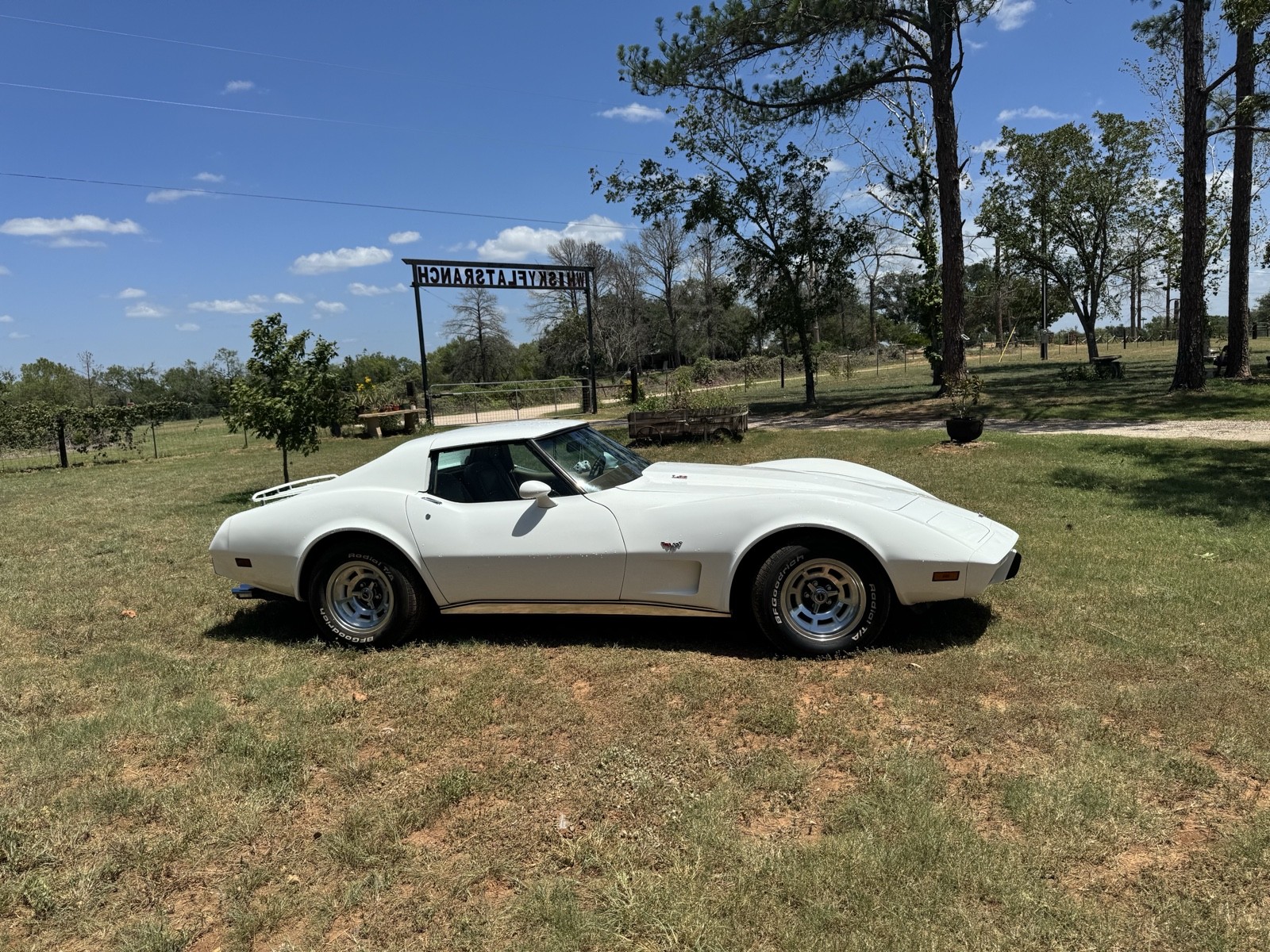 Chevrolet-Corvette-1977-3