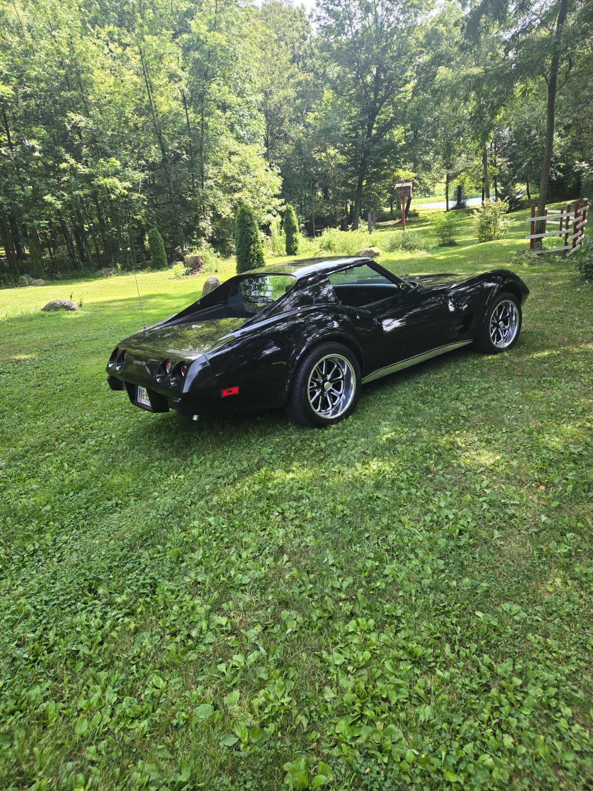 Chevrolet-Corvette-1977-Coupe-4
