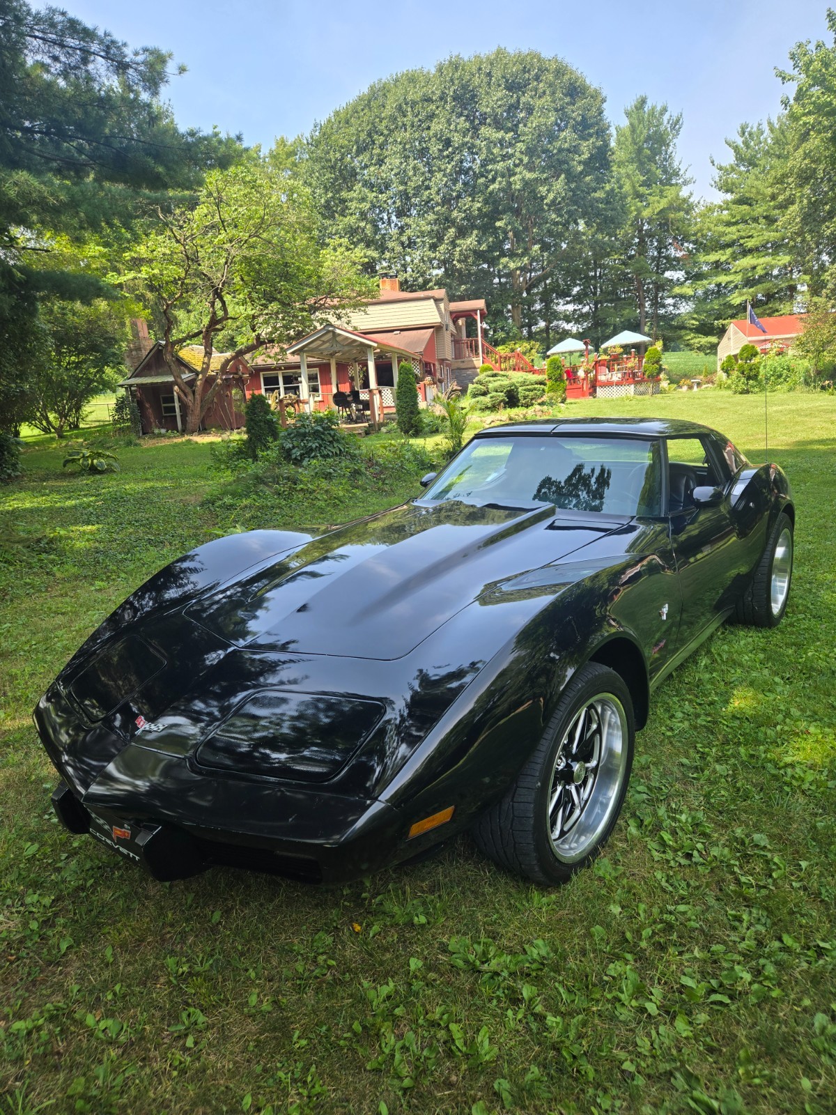 Chevrolet-Corvette-1977-Coupe-5
