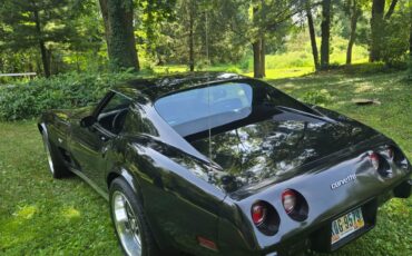 Chevrolet-Corvette-1977-Coupe-6
