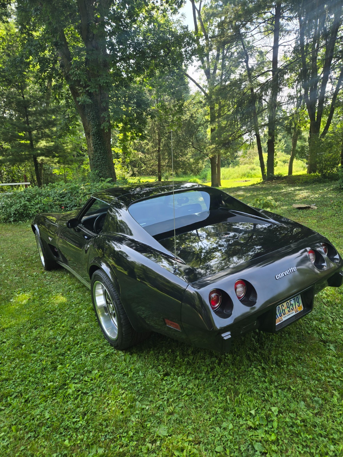 Chevrolet-Corvette-1977-Coupe-6