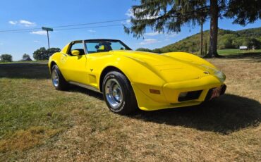 Chevrolet-Corvette-1977-Yellow-Black-1