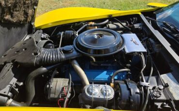 Chevrolet-Corvette-1977-Yellow-Black-20