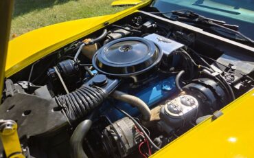 Chevrolet-Corvette-1977-Yellow-Black-22