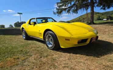 Chevrolet-Corvette-1977-Yellow-Black-36