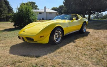 Chevrolet-Corvette-1977-Yellow-Black