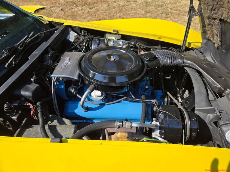 Chevrolet-Corvette-1977-Yellow-Black-40