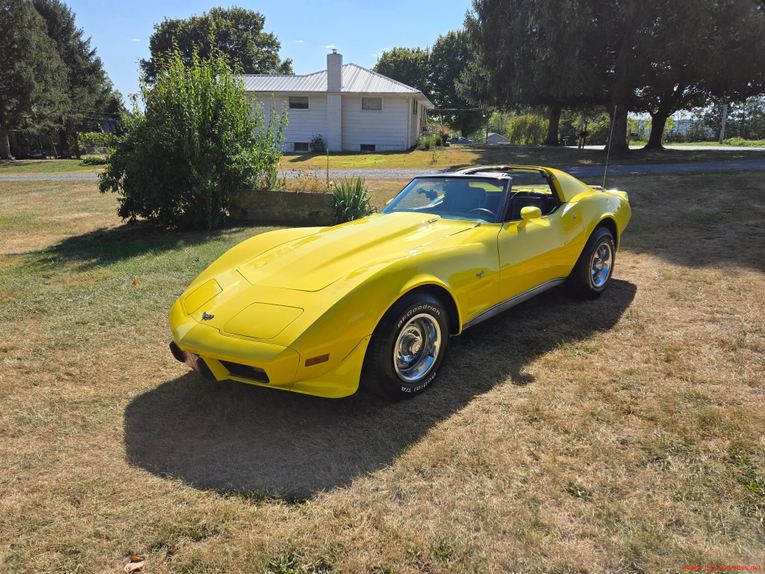Chevrolet-Corvette-1977-Yellow-Black-7
