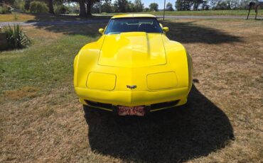 Chevrolet-Corvette-1977-Yellow-Black-8