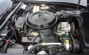Chevrolet-Corvette-1978-Coupe-28