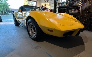 Chevrolet-Corvette-1979-10
