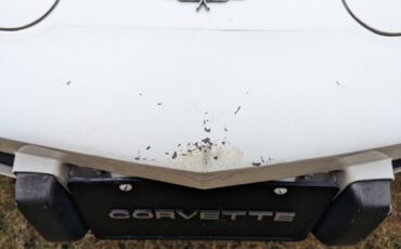 Chevrolet-Corvette-1979-10