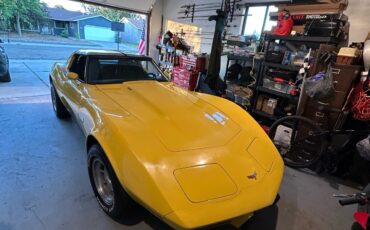 Chevrolet-Corvette-1979-11
