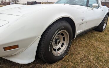 Chevrolet-Corvette-1979-11