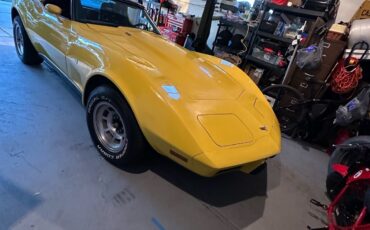 Chevrolet-Corvette-1979-12