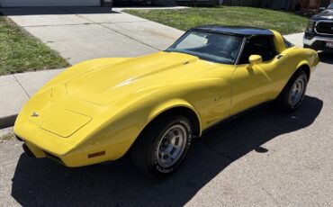 Chevrolet-Corvette-1979-13
