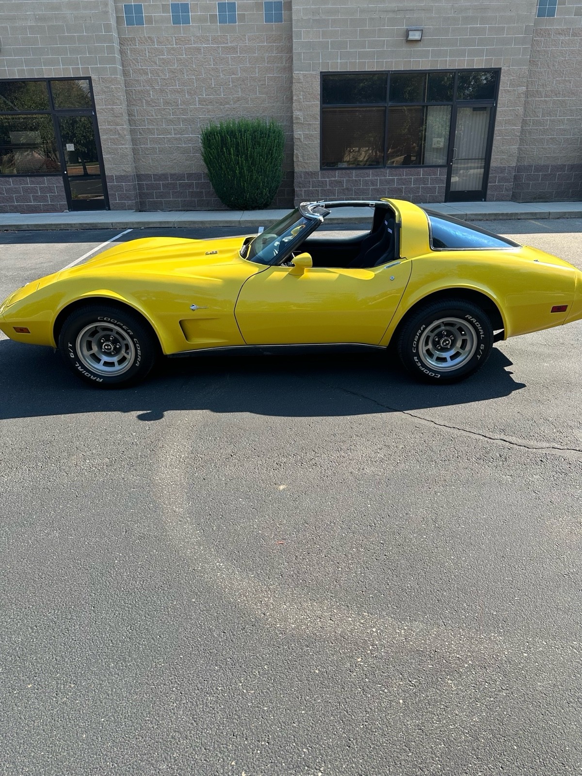 Chevrolet Corvette 1979