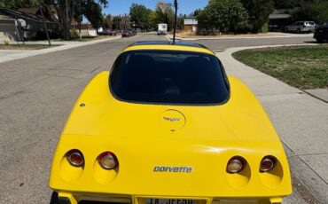 Chevrolet-Corvette-1979-14
