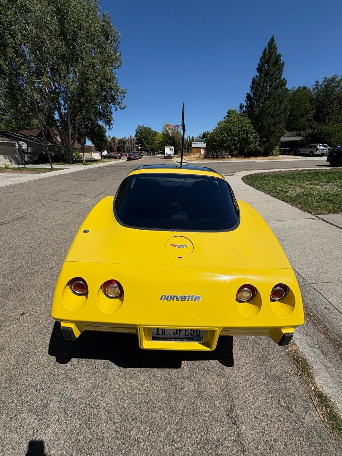 Chevrolet-Corvette-1979-14