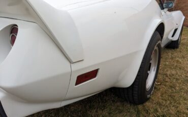 Chevrolet-Corvette-1979-17