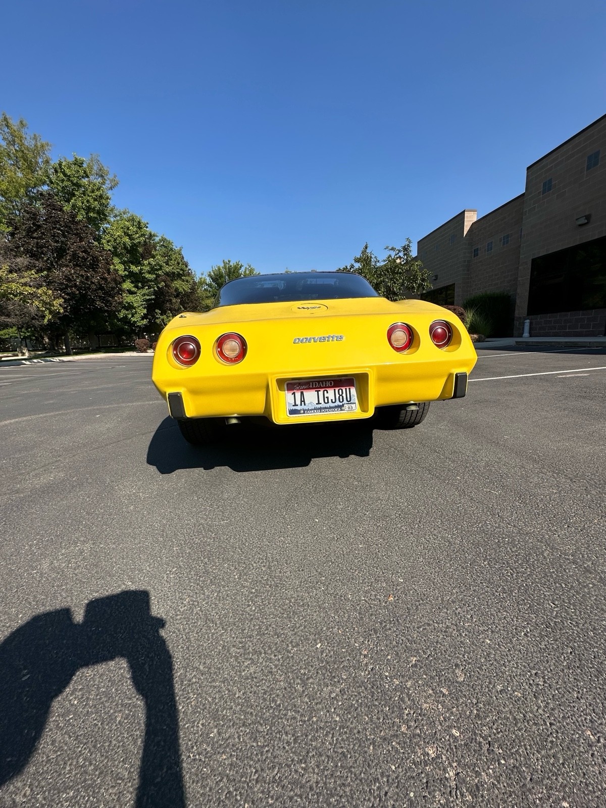 Chevrolet-Corvette-1979-2