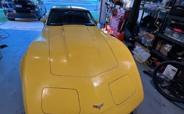Chevrolet-Corvette-1979-23