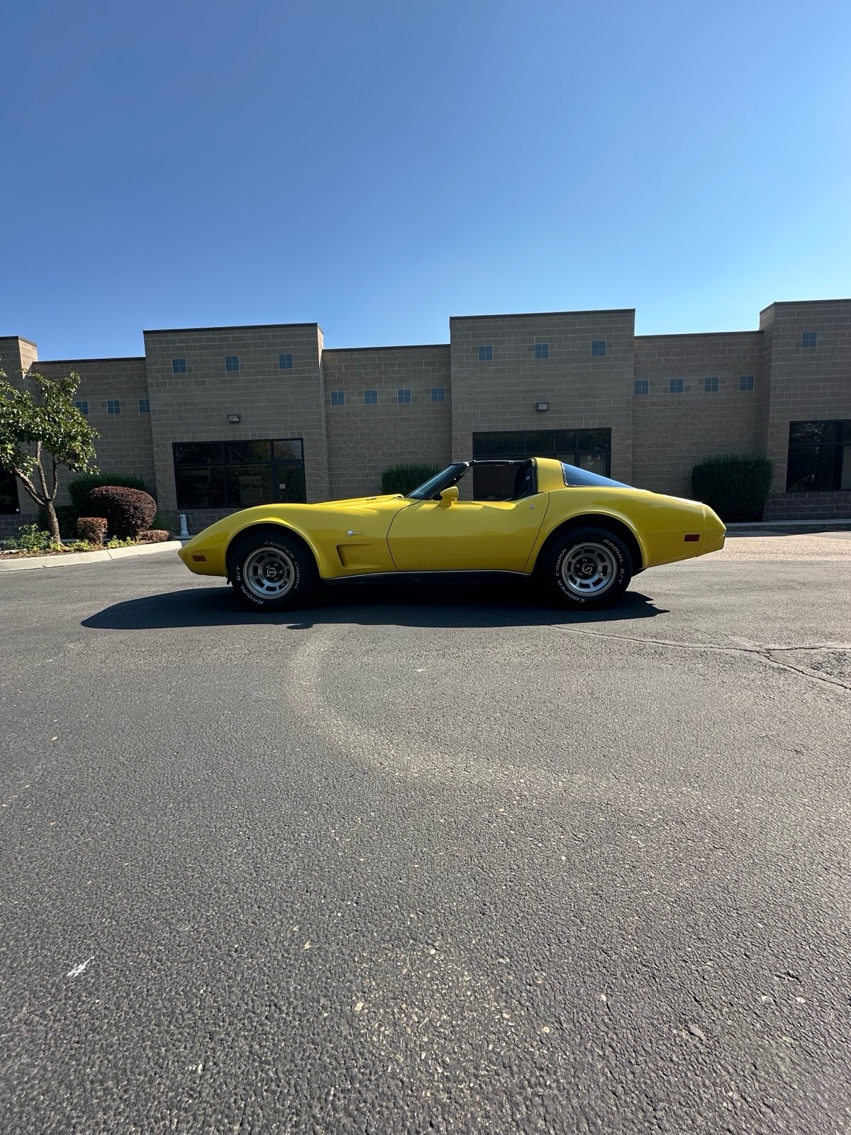 Chevrolet-Corvette-1979-5