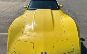 Chevrolet-Corvette-1979-6