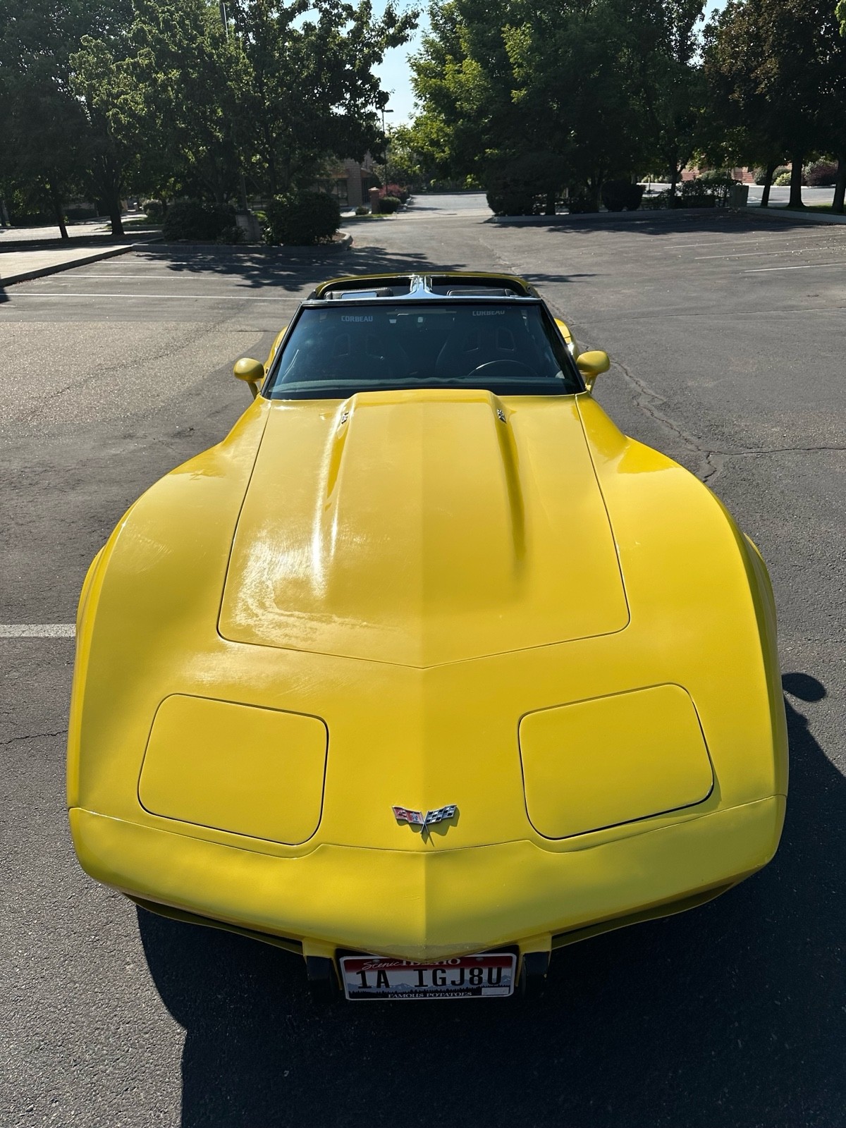 Chevrolet-Corvette-1979-6