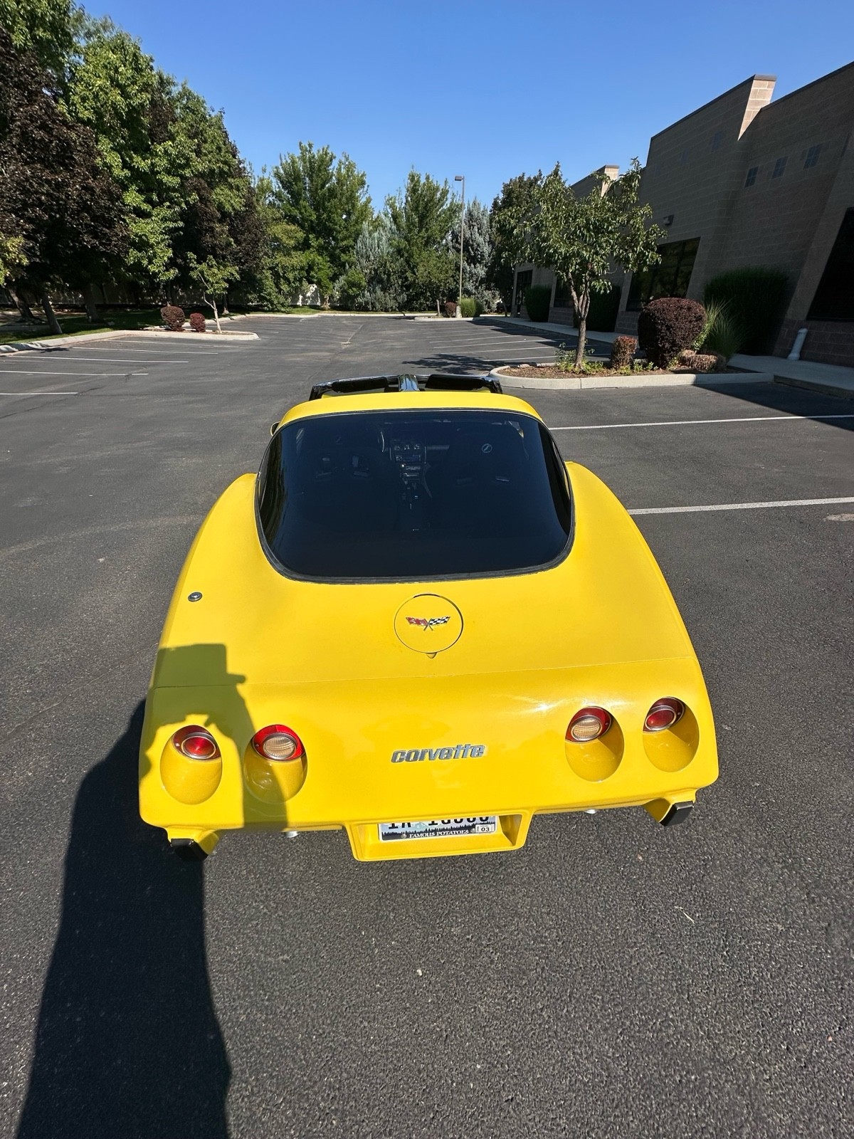Chevrolet-Corvette-1979-7