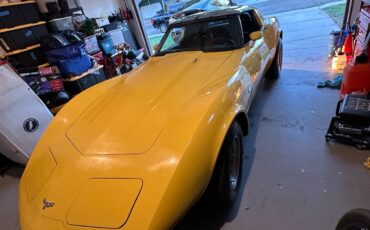 Chevrolet-Corvette-1979-9