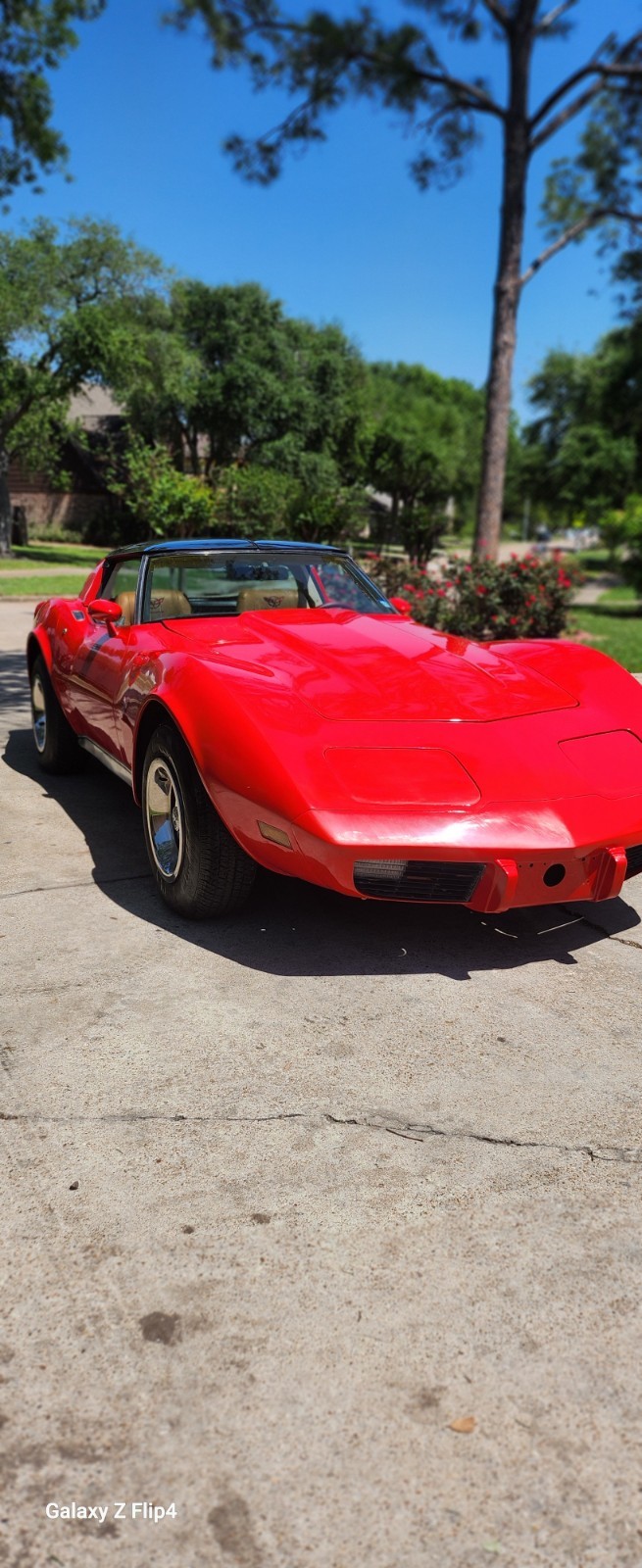 Chevrolet-Corvette-1979-Convertible-4